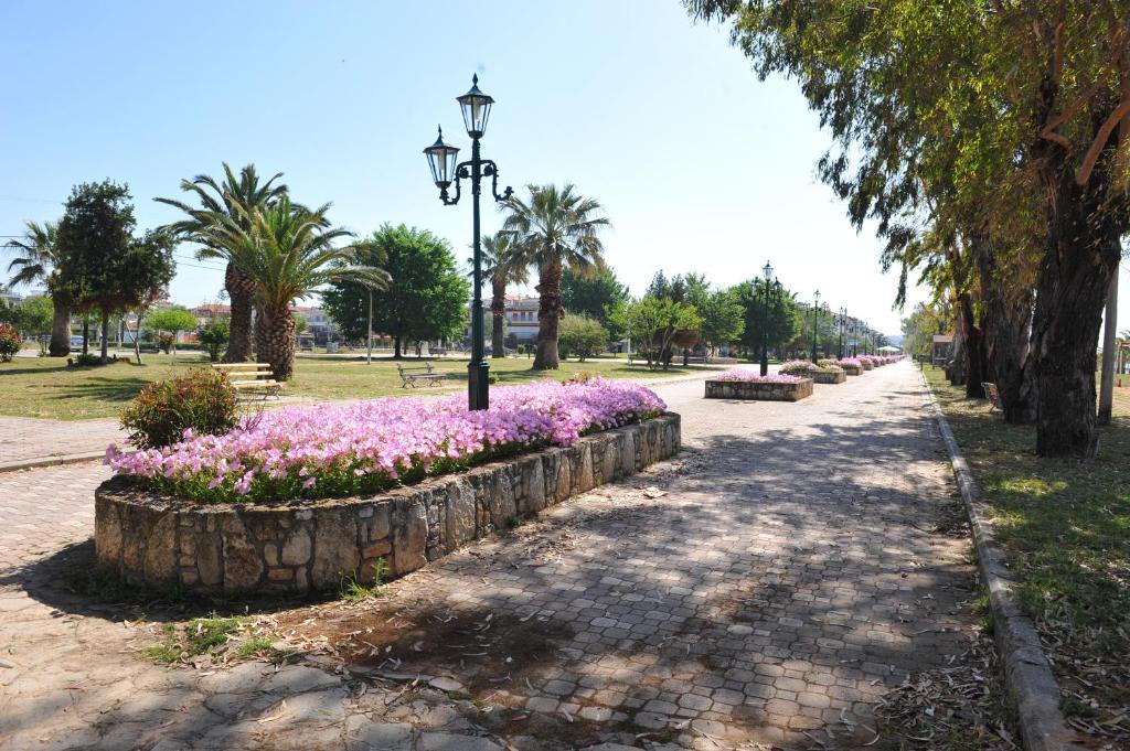 Hotel Eleni Paralia Dionysiou Exterior photo